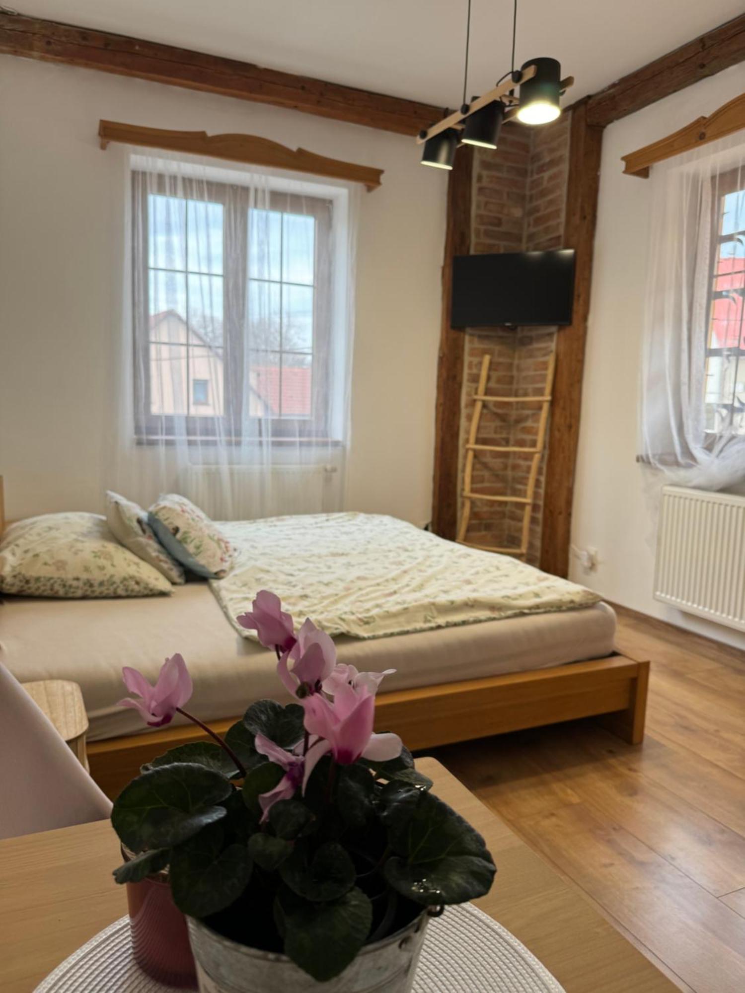 Penzion Hradecky Dvur Plzen Ngoại thất bức ảnh